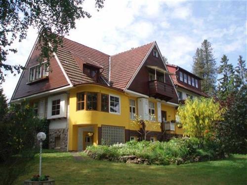 Ferieleilighet - 1 person -  - Mittelstraße - 37441 - Bad Sachsa