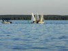 Billede 35