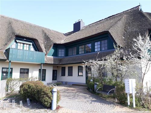 Feriehus / leilighet - 3 personer -  - Bauernreihe - 18375 - Wieck A. Darß