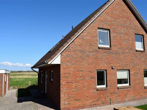 Ferieleilighet - 4 personer -  - Uthlander Weg - 25899 - Dagebüll