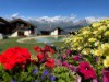 Bild 22