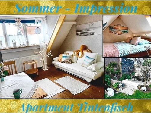 Holiday Home/Apartment - 4 persons -  - 4361AV - Westkapelle