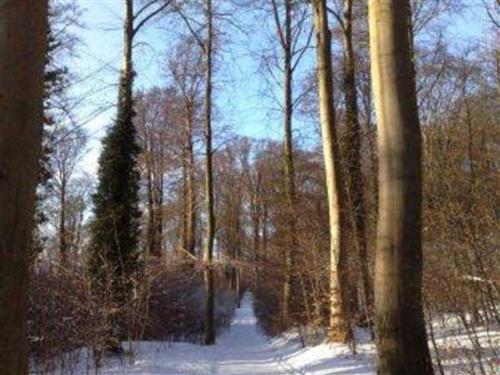 Ferielejlighed - 3 personer -  - TV, EBK, WM, unverbaute, ruhige, sonnige Lage      ANSEHEN! - 17459 - Koserow