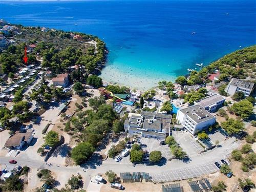 Ferielejlighed - 4 personer -  - Turisticka ulica - 22243 - Murter