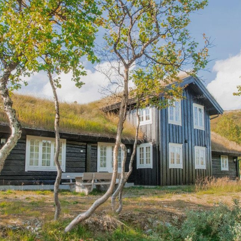 Sommerhus - 8 personer -  - Gamle Skarvegen - Oppdal/Skarvatnet - 7340 - Oppdal