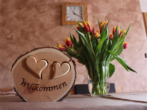 Semesterlägenhet - 4 personer -  - Kaiblingstraße - 8967 - Haus Im Ennstal