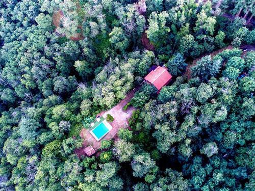 Sommerhus - 6 personer -  - Strada Comunale Medicina Pietrabuona - 51017 - Medicina