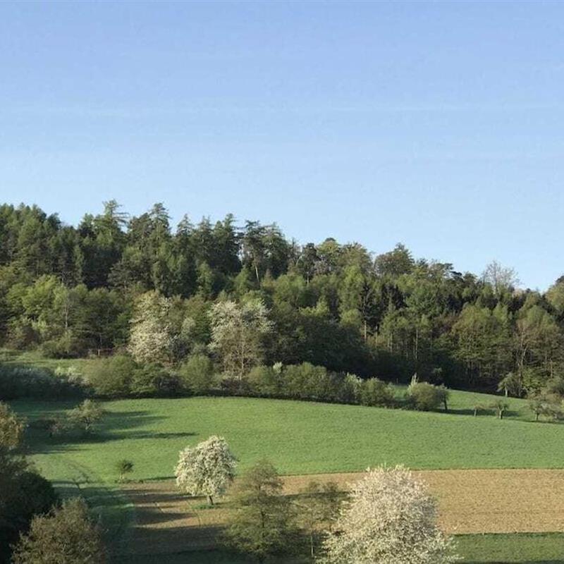 Sommerhus - 5 personer -  - 63825 - Blankenbach