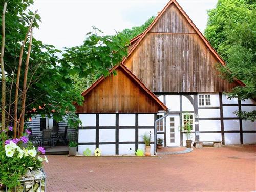 Holiday apartment - 6 persons -  - Tecklenburg - 49545