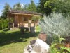 Image 14 - Outside