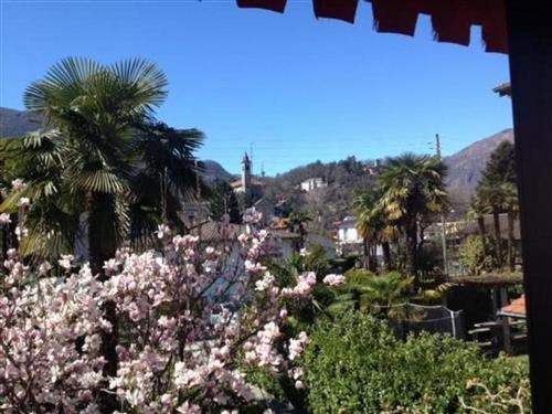 Ferielejlighed - 4 personer -  - Losone - 6616