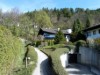 Bilde 4