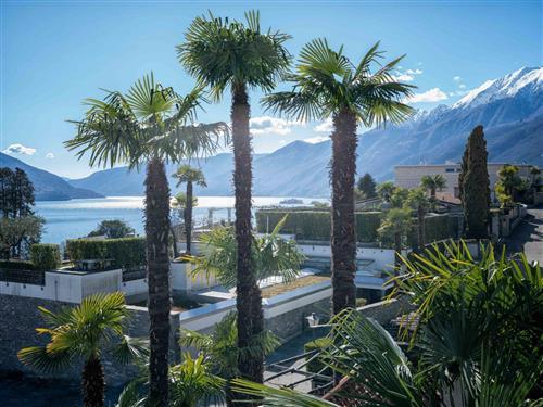 Holiday apartment - 4 persons -  - Ascona - 6612