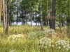Bilde 40 - Inne
