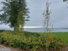 Billede 52 - Udsigt over vand