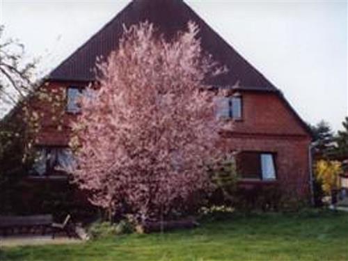 Ferieleilighet - 4 personer -  - Dorfstr. - 23911 - Kittlitz