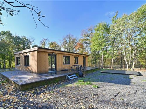 Chalet - 6 personer -  - 5377 - Durbuy