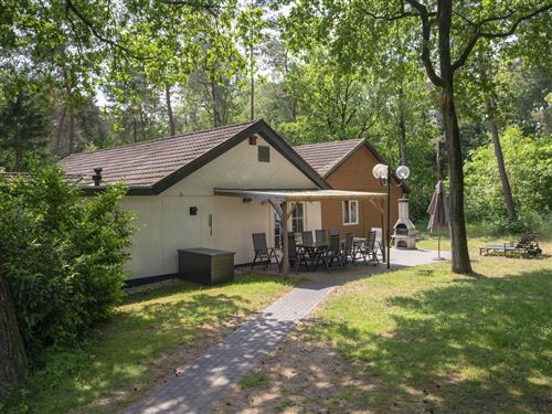 Holiday Home/Apartment - 12 persons -  - Hoge Bergweg - 7361 GS - Beekbergen