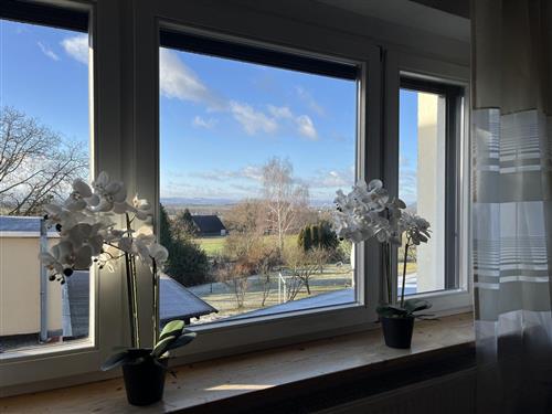 Holiday apartment - 6 persons -  - Färbergasse - 01847 - Lohmen