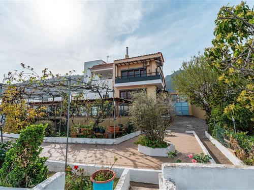 Sommerhus - 7 personer -  - C/ Las Portadas - Las Palmas - 35216 - Valsequillo