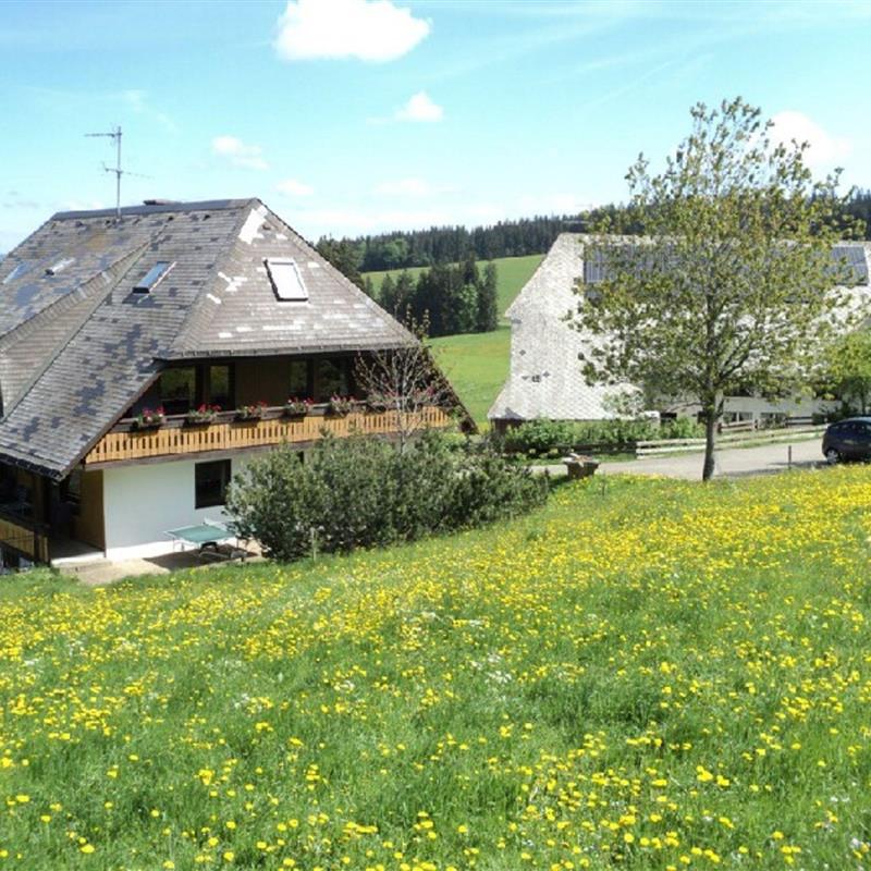 Bondegård - 6 personer -  - Thurner - 79274 - St. Märgen