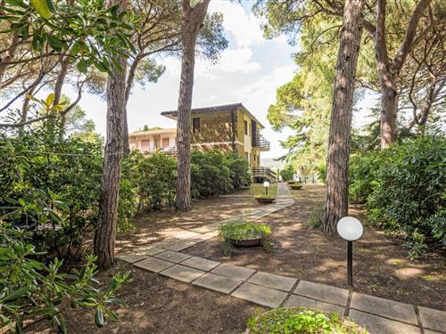 Ferienhaus - 6 Personen -  - Castiglione Della Pescaia - 58043