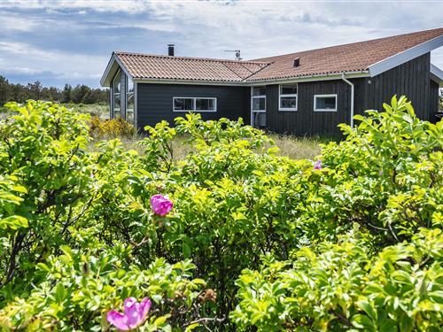 Sommerhus - 4 personer -  - Jafdalvej - Vejers Nordøst - 6853 - Vejers Strand
