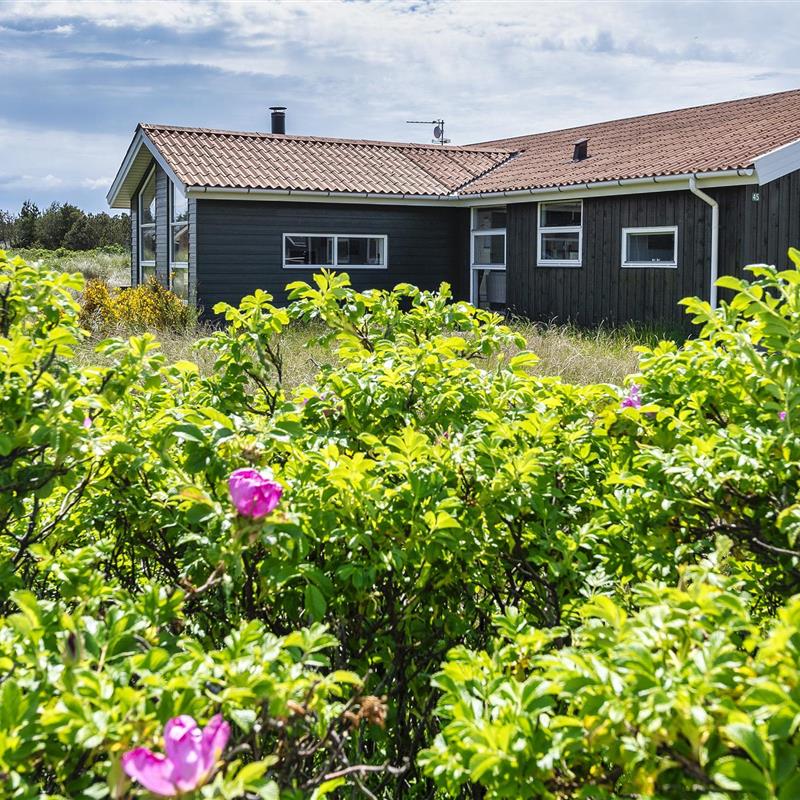 Sommerhus - 4 personer -  - Jafdalvej - Vejers Nordøst - 6853 - Vejers Strand