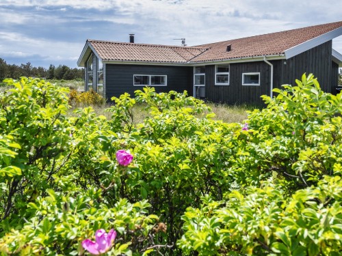 Sommerhus - 4 personer -  - Jafdalvej - Vejers Nordøst - 6853 - Vejers Strand