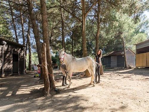 Semesterlägenhet - 6 personer -  - 13370 - Mallemort