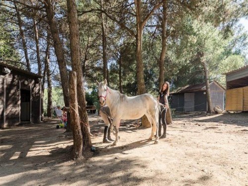 Ferieleilighet - 6 personer -  - 13370 - Mallemort