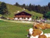 Billede 92