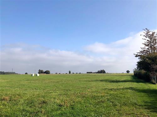 Ferieleilighet - 3 personer -  - Osterstraße 8 A - 18347 - Wustrow