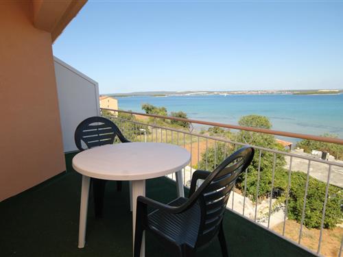 Holiday apartment - 3 persons -  - Tkon - 23212 - Tkon