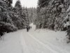 Bild 36 - Ude