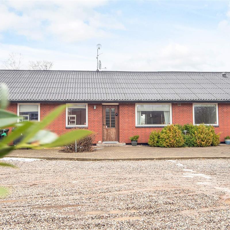 Ferienhaus - 14 Personen -  - Nordkystvejen - Örsted - 8961 - Allingaabro