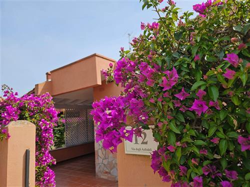 Holiday apartment - 4 persons -  - Costa Rei - 09043