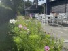 Billede 21 - Terrasse