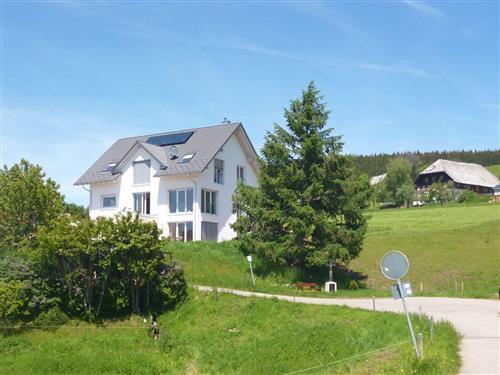 Ferielejlighed - 2 personer -  - Lenzkirch - 79853