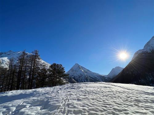 Ferienhaus - 4 Personen -  - Parkstrasse - 3906 - Saas-Fee