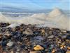 Bild 22 - Blick über's Wasser