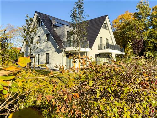 Ferielejlighed - 4 personer -  - Störtebekerstraße - 18374 - Zingst