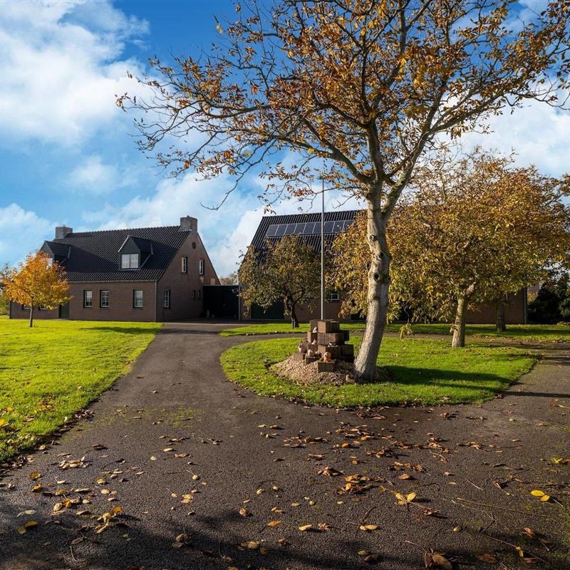 Sommerhus - 4 personer -  - 4528KS - Sint Kruis