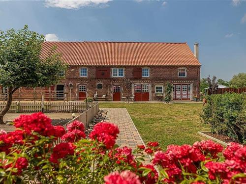 Ferielejlighed - 2 personer -  - Kraatzer Straße - 39619 - Arendsee