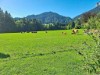 Bild 36 - Ude