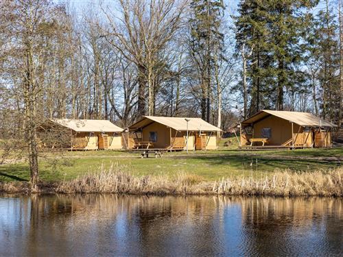 Glamping telt - 6 personer -  - 9514BW - Gasselternijveen