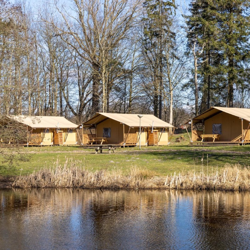 Glamping telt - 6 personer -  - 9514BW - Gasselternijveen