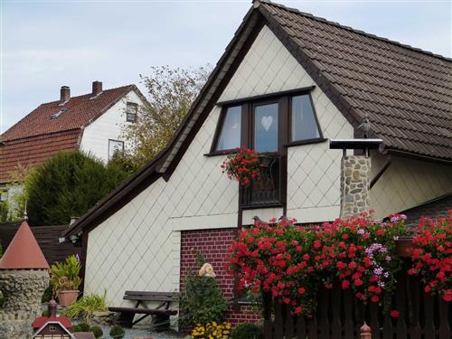 Ferieleilighet - 3 personer -  - Bahnhofstr. - 37445 - Walkenried