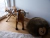 Bild 35 - Inde
