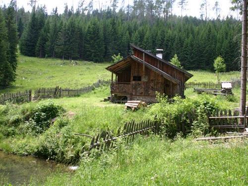 Holiday Home/Apartment - 9 persons -  - 5582 - Lungau-Zederhaus